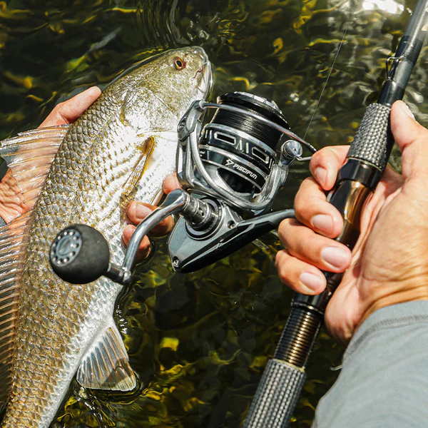 Flash Sale Piscifun®NautiX Saltwater Spinning Reel Aluminum Body Fishing Reel 2 Flash Sale Piscifun®NautiX Saltwater Spinning Reel Aluminum Body Fishing Reel - Image 2
