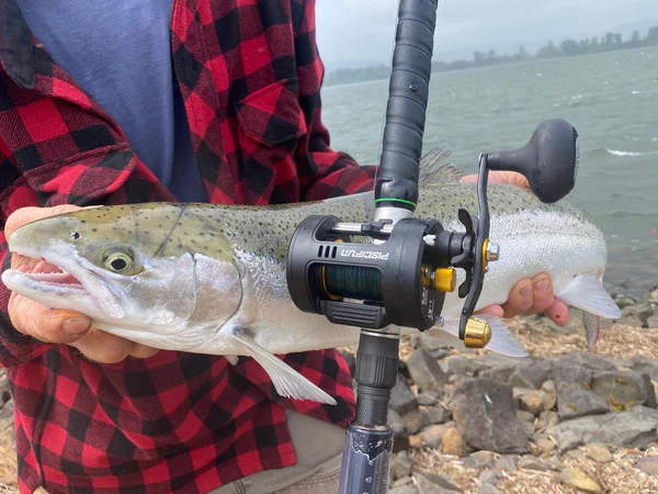 chaos-pro-and-steelhead_05a88954-3c6a-4e04-8339-0b89063d2927