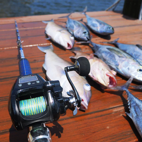 Hooked Beginner electric fishing reel optimized for deep sea fishing and large saltwater game fish