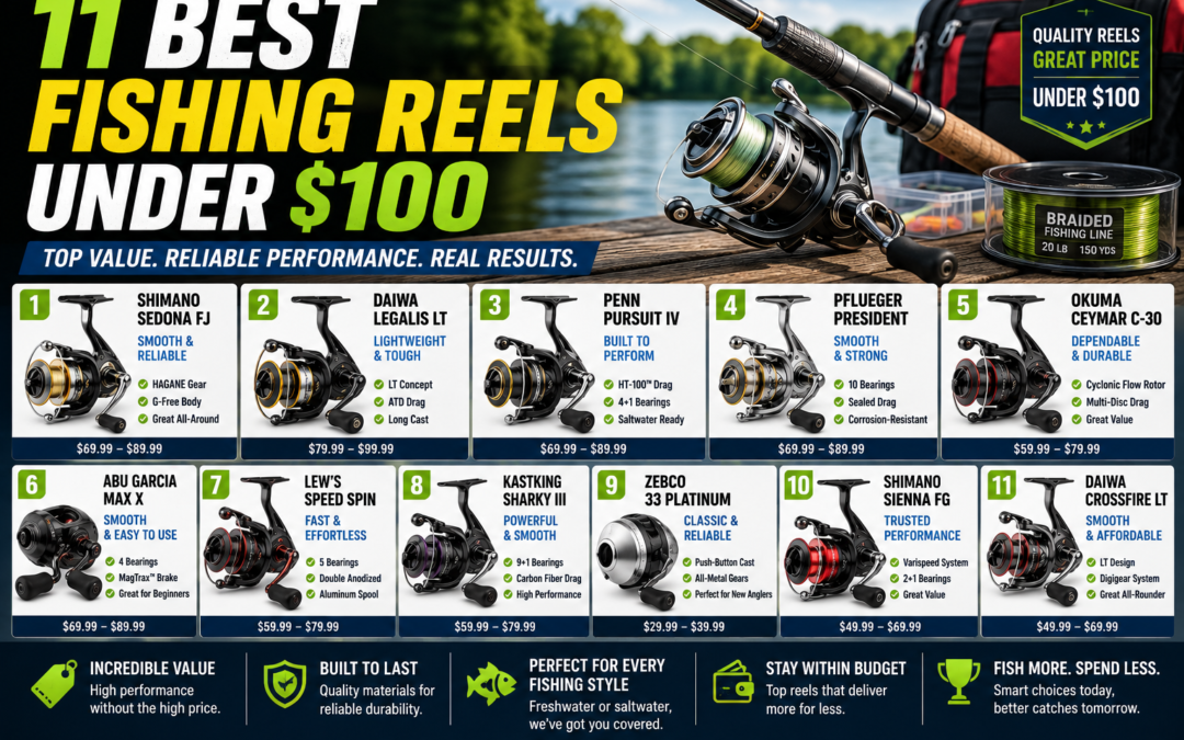 Best Fishing Reels Under $100 for Budget-Conscious Anglers