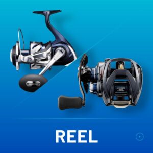 REELS